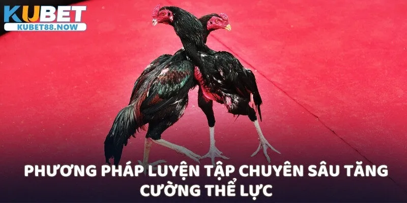 Phương pháp luyện tập chuyên sâu tăng cường thể lực