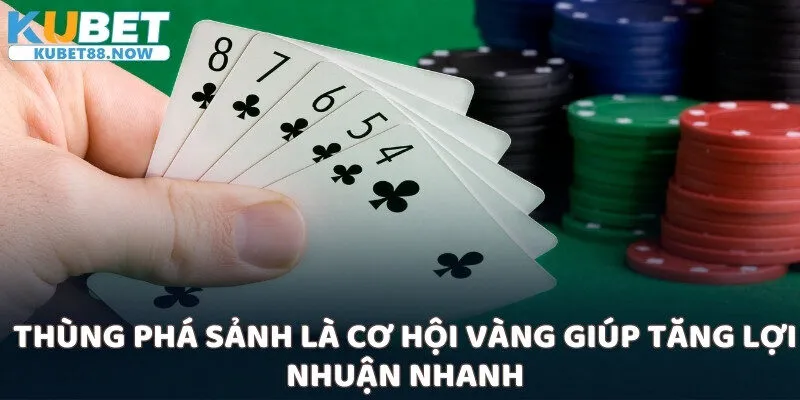 Thùng phá sảnh là cơ hội vàng giúp tăng lợi nhuận nhanh